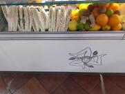 Bar da Giuseppe sicily