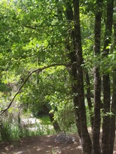 Santa Lucia Park