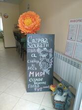Напитки для души