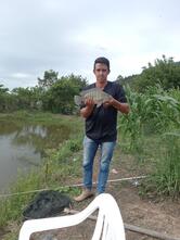 Cardume Pesca e Lazer