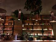 Elevation Exotic Market