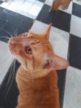 Estação Gourmet - Restaurante e Cafeteria