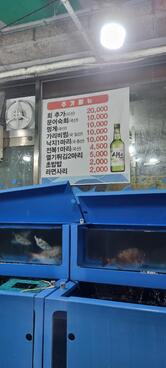 충무활어시장