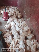 Bismillah chicken & mutton shop