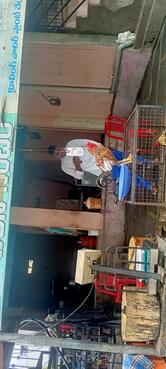 Gouse Chicken Centre