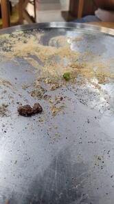 Pizza Pazza Contagem - Só Marcas Outlet