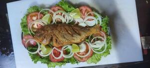 Bar & Botequim Biricutico - Méier