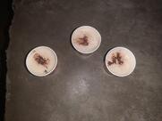 Umair Coldrinks and Coffee House