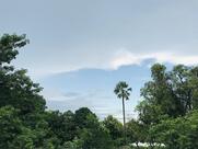 Shandilya Enterprise