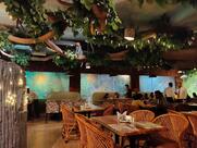 Mayukha Jungle Theme Restaurant KPHB, Hyderabad