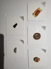 Concezione Restaurant