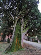 Rocca Bernarda - Terre dei Cavalieri