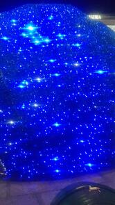 Pizzeria Magnolia di Nadia & Roby