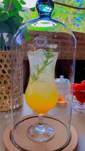 Innovation Bartenders