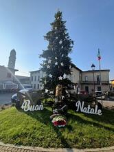 Pasticceria Dolce Vita