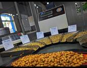 Coopama - Cafés Especiais