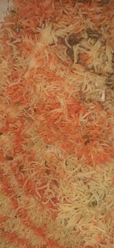 Muradabadi chicken biryani