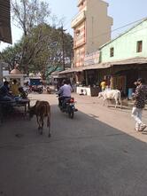 Panjab And Kasmire Hotel