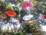 Rei Do Porto (Bar E Lanchonete)