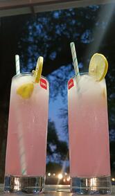 Hotspot-The Container Cafe