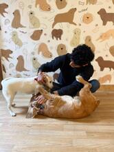 The Pet Cafe Pune