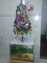 Ponto Alto Bar e Lanchonete