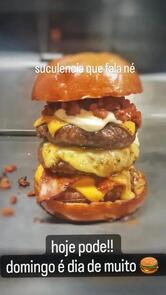 the Burger homestyle