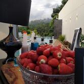 Lounge Drinks e Coquetéis