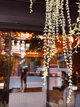 Friends Station Hostel
