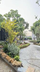 Thongdee factory café & restaurant