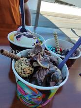 The Best Açai Florianópolis