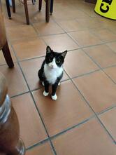 Bar Trattoria "Mirandola"