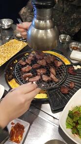 신마포살매기
