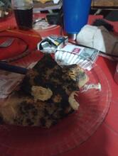 Restaurante e pizzaria Terraço