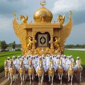 MOHAMMAD KAIF Chicken