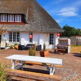 Abby's Food & Friends