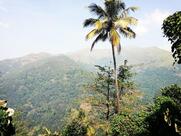 Heights cafe and burger shop