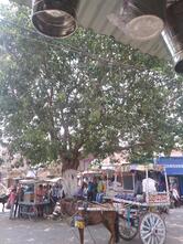 Hotel Manish Fast Food