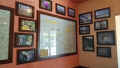 Caffè Viola di Viola Emanuele