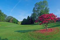 Radyr Golf Club