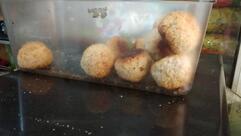 National Bakery - நேக்ஷனல் பேக்கரி