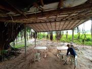 Pipri Live Nasta House