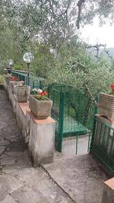 La Mola S.A.S. Di Gianluca e Maria Grazia