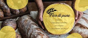 Panificio Fior di Pane - Maglie