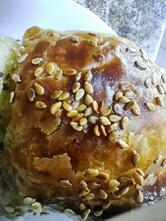Centr Plov