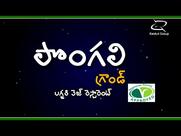 Pongali Grand And Basmathi Royal