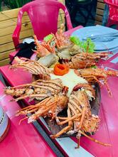 Quiosque Terra Vista