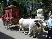 Bar Centrale Di Venturini Antonietta