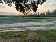 Kabarouf Barthelasse