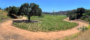 Monserate Winery